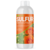 Sulfur Star - Image 2