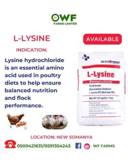LYSINE 25KG