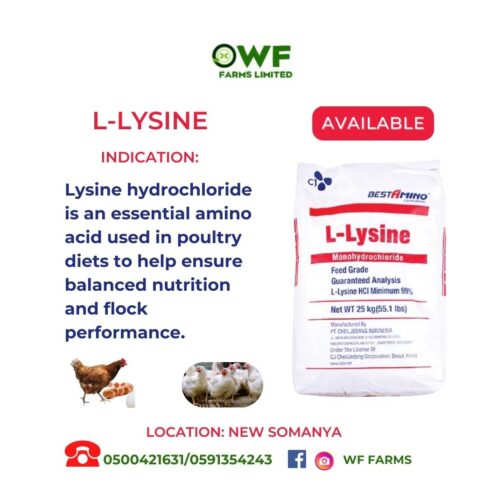 LYSINE 25KG