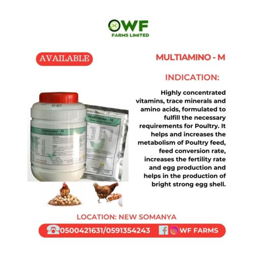 MULTI-AMINO 1KG