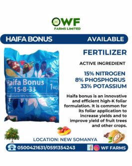 HAIFA BONUS 1KG