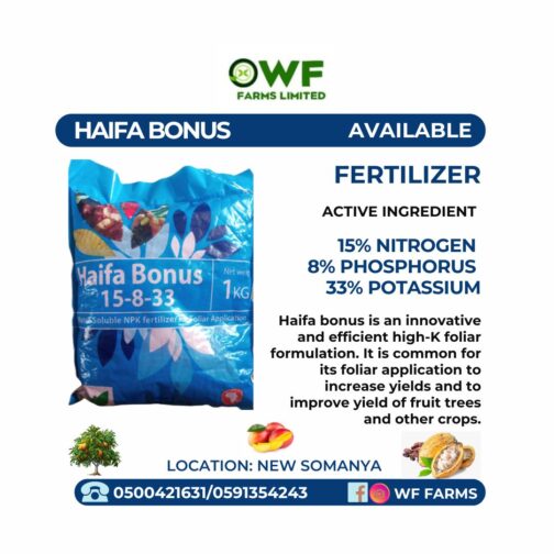 HAIFA BONUS 1KG