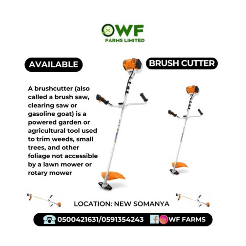BRUSH CUTTER FS 250