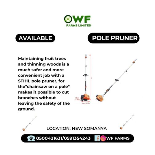 POLE PRUNER