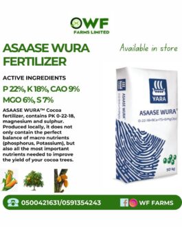 ASAASE WURA 50KG