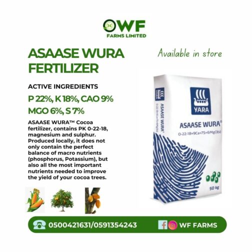 ASAASE WURA 50KG